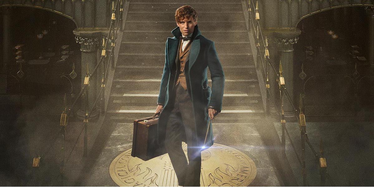 fantastic-beasts-and-where-to-find-them-newt-scamander