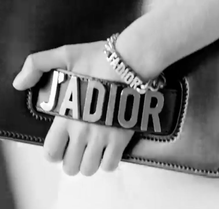 j'adior-accessory-collection-clutch-handle-dior-logo