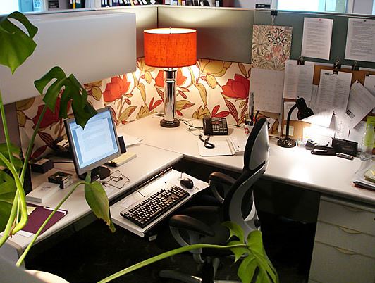 prints-wallpaper-workstation-decor-plants