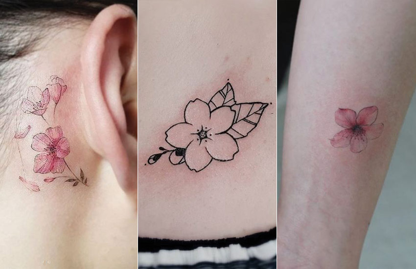 Cherry Tattoo Images | Free Photos, PNG Stickers, Wallpapers & Backgrounds  - rawpixel