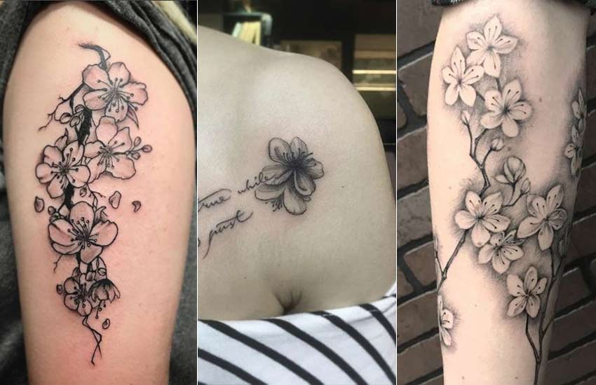 Black Rose and Cherry Blossom | Cherry blossom tattoo, Blossom tattoo, Black  rose tattoos