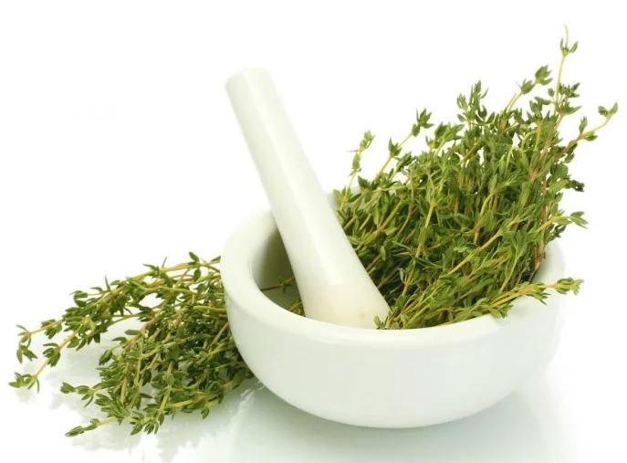 thyme-essential-oils-for-muscle-pain