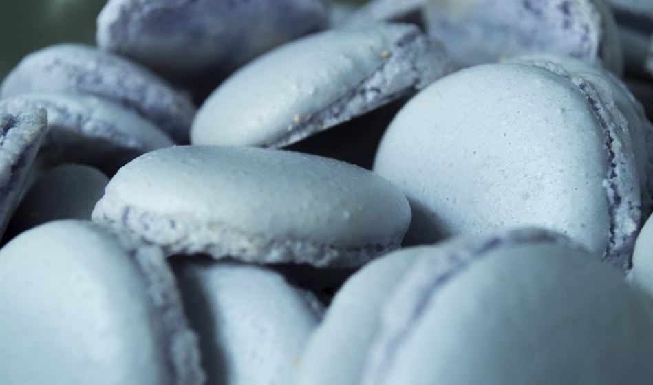 best-gourmet-macarons-flavors-fillings (2)-blueberry