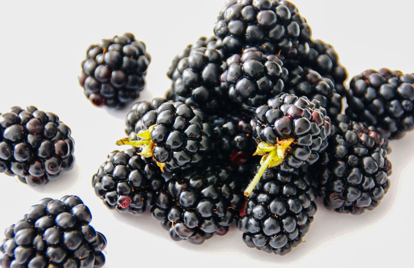 list of berries blackberry-health-benefits-list-of-berries-health-benefits