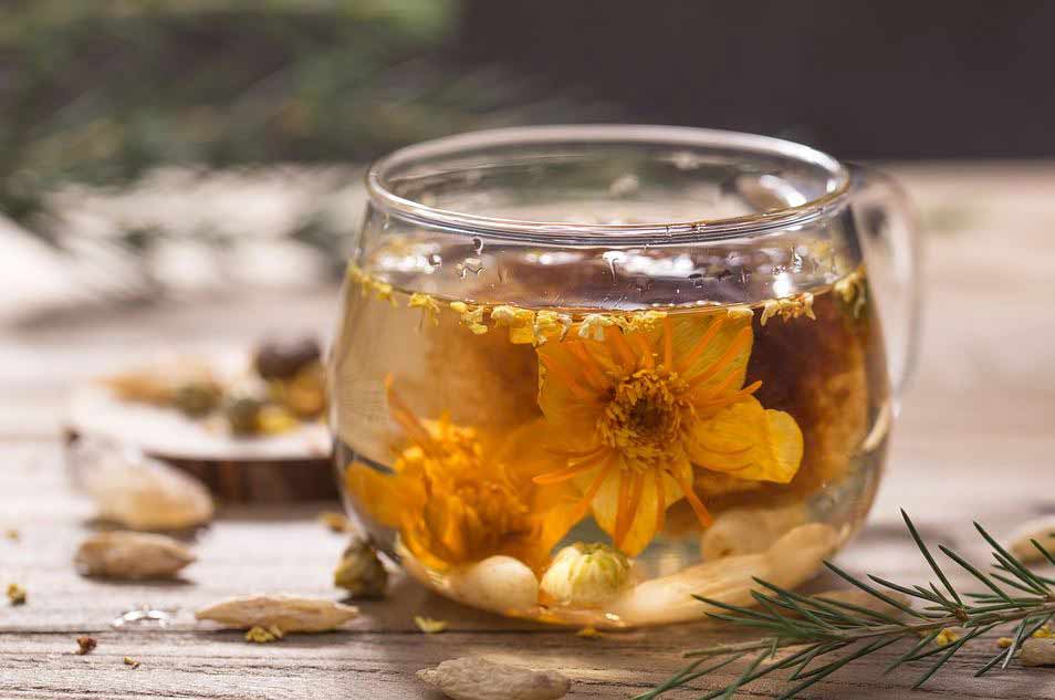 all-types-of-flowers-teas-infused-herbal-tea-(6)-hawthorn