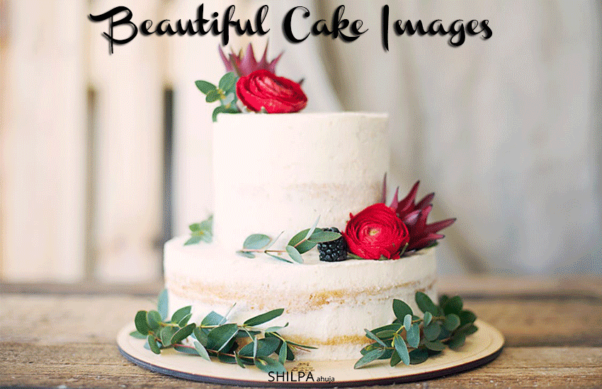 beautiful-cake-images-latest-cake-trends