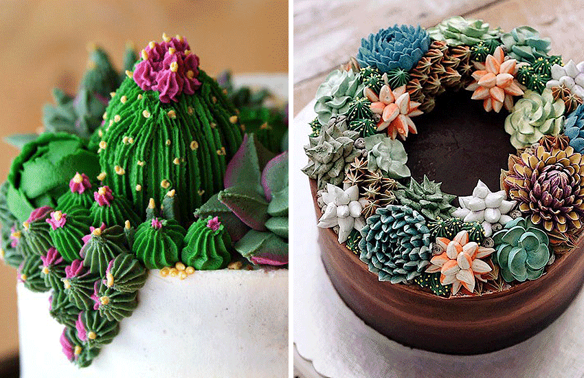 cactus-cake-latest-birthday-cake-ideas-cake-images-trends