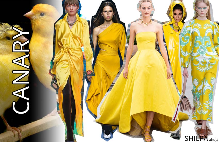runway color trends forecast spring 2019 Canary yellow