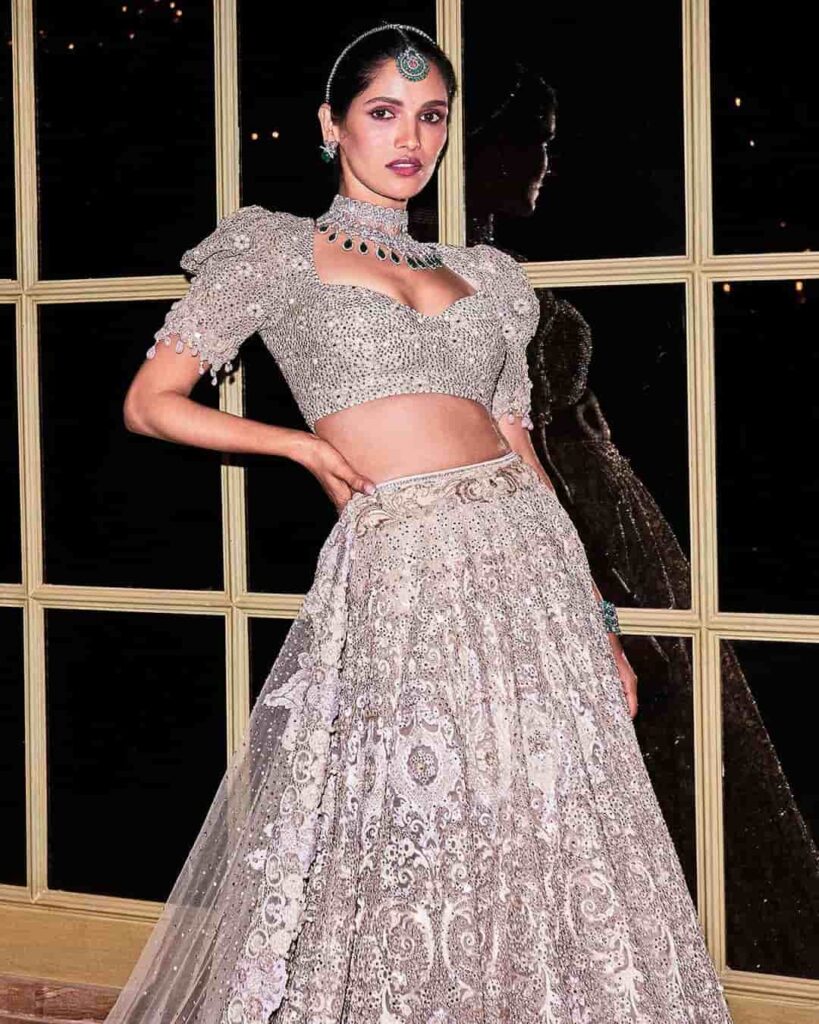 Lehenga Choli Design Images for Wedding Season